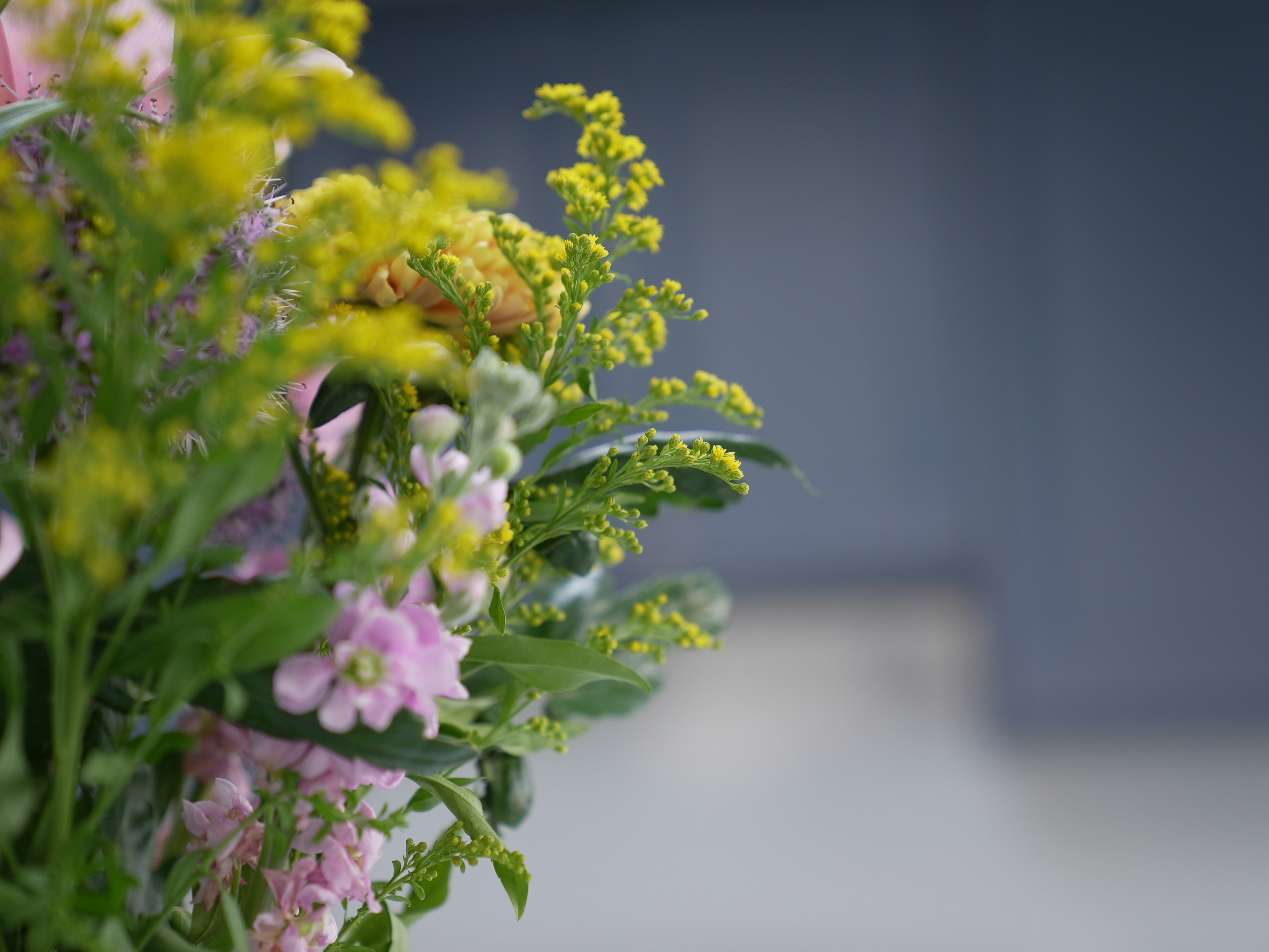 Photo by oscar_scannell