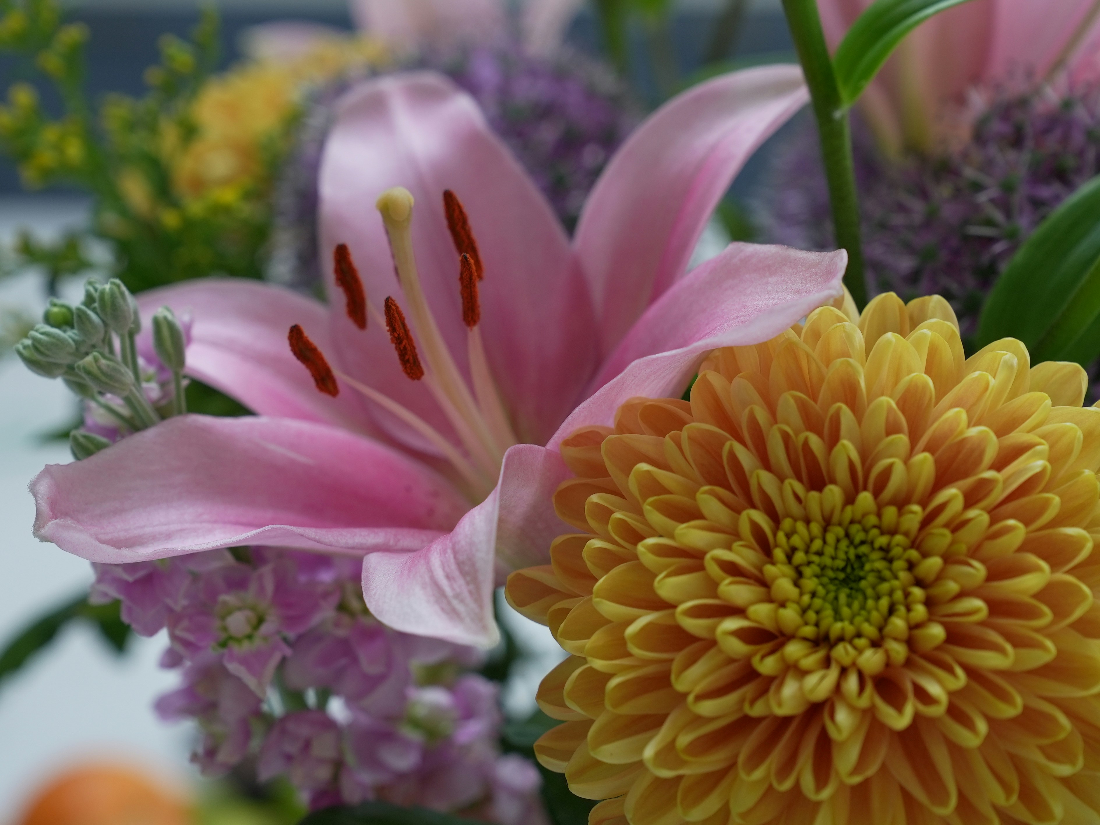 Photo by oscar_scannell