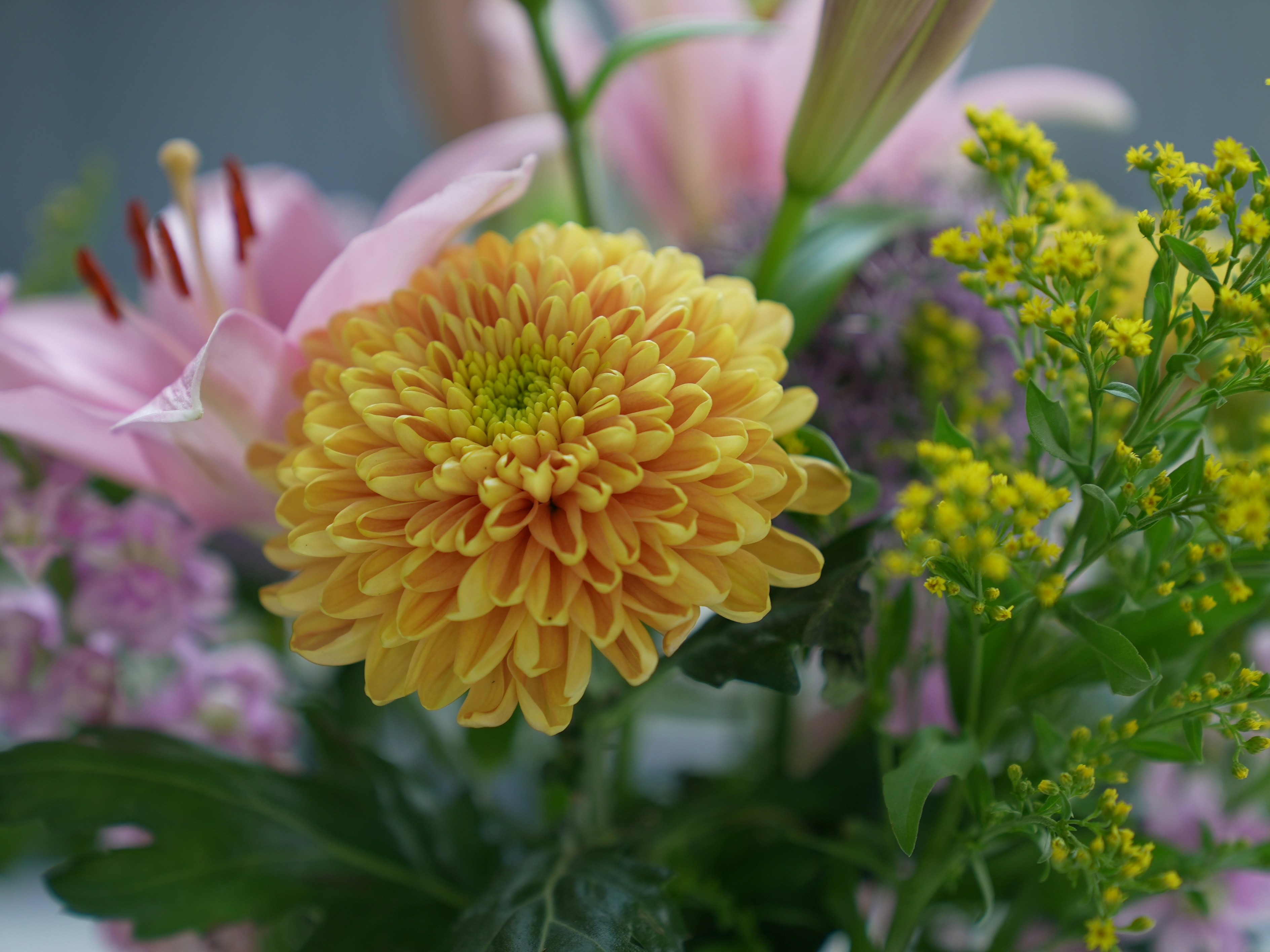 Photo by oscar_scannell