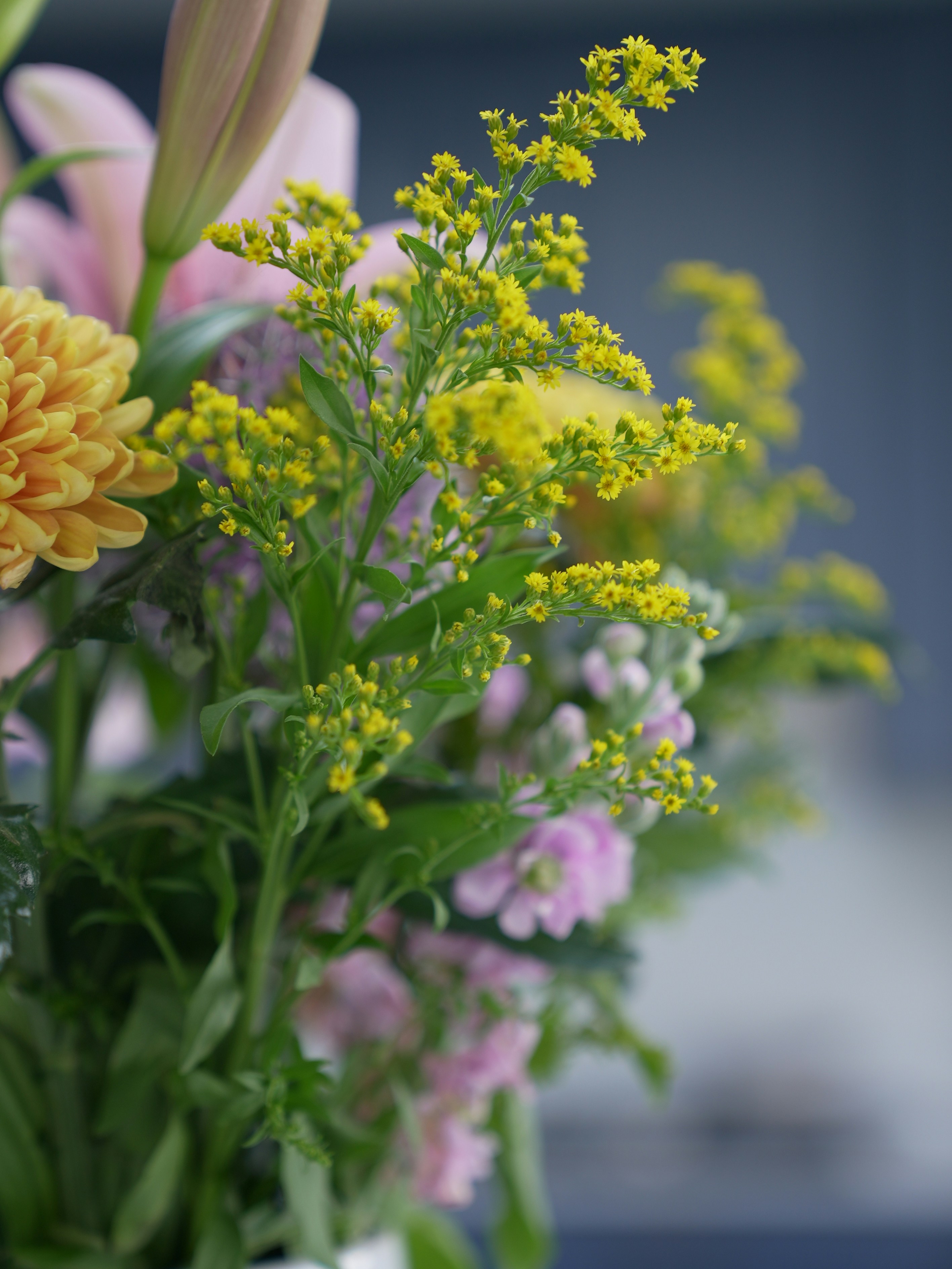 Photo by oscar_scannell