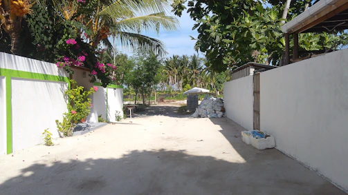 A sunlit driveway with smooth, freshly poured concrete bordered by tropical plants in Waianae.