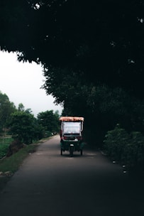 A small colorful vehicle is traveling down a narrow, tree-lined road with dense foliage obscuring the background. The vehicle has a canopy adorned with fabric and is positioned centrally on the road, creating a scene of isolation and tranquility.