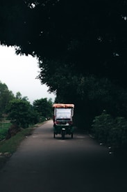 A small colorful vehicle is traveling down a narrow, tree-lined road with dense foliage obscuring the background. The vehicle has a canopy adorned with fabric and is positioned centrally on the road, creating a scene of isolation and tranquility.