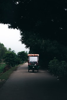 A small colorful vehicle is traveling down a narrow, tree-lined road with dense foliage obscuring the background. The vehicle has a canopy adorned with fabric and is positioned centrally on the road, creating a scene of isolation and tranquility.