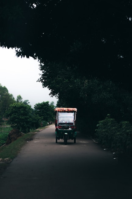 A small colorful vehicle is traveling down a narrow, tree-lined road with dense foliage obscuring the background. The vehicle has a canopy adorned with fabric and is positioned centrally on the road, creating a scene of isolation and tranquility.