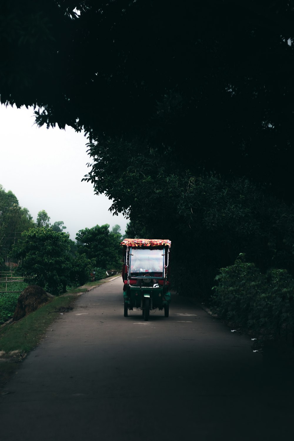 a truck driving down a road next to a lush green forest
