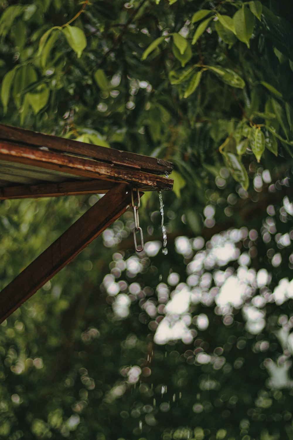 a water drop hanging from a wooden roof