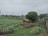 A rural landscape featuring a lush green field and a thatched-roof hut surrounded by trees. A narrow dirt path runs alongside brick structures, and utility towers are visible in the background under a cloudy sky.