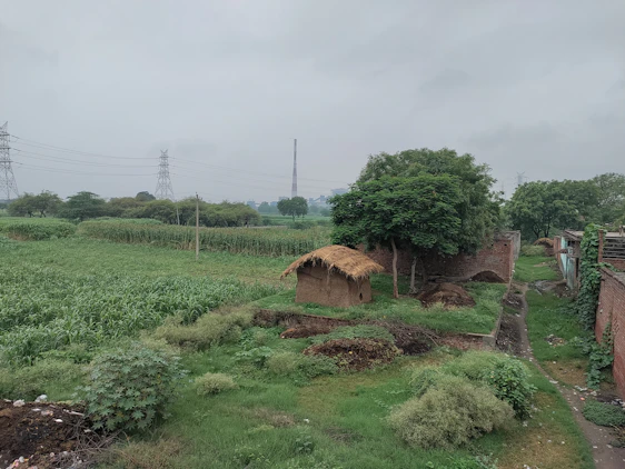 A modern ISP technician setting up internet equipment in a rural village surrounded by lush greenery.