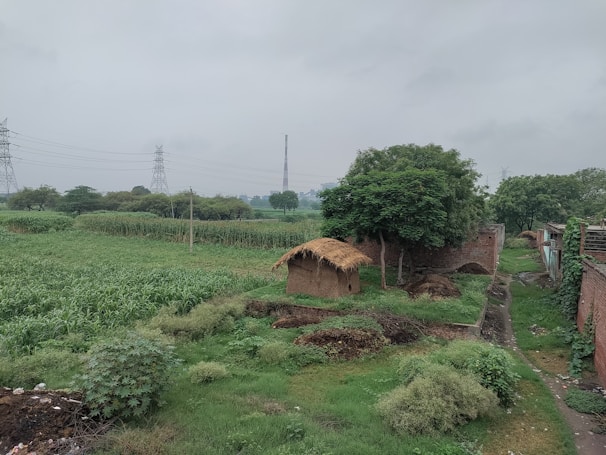 A rural landscape featuring a lush green field and a thatched-roof hut surrounded by trees. A narrow dirt path runs alongside brick structures, and utility towers are visible in the background under a cloudy sky.