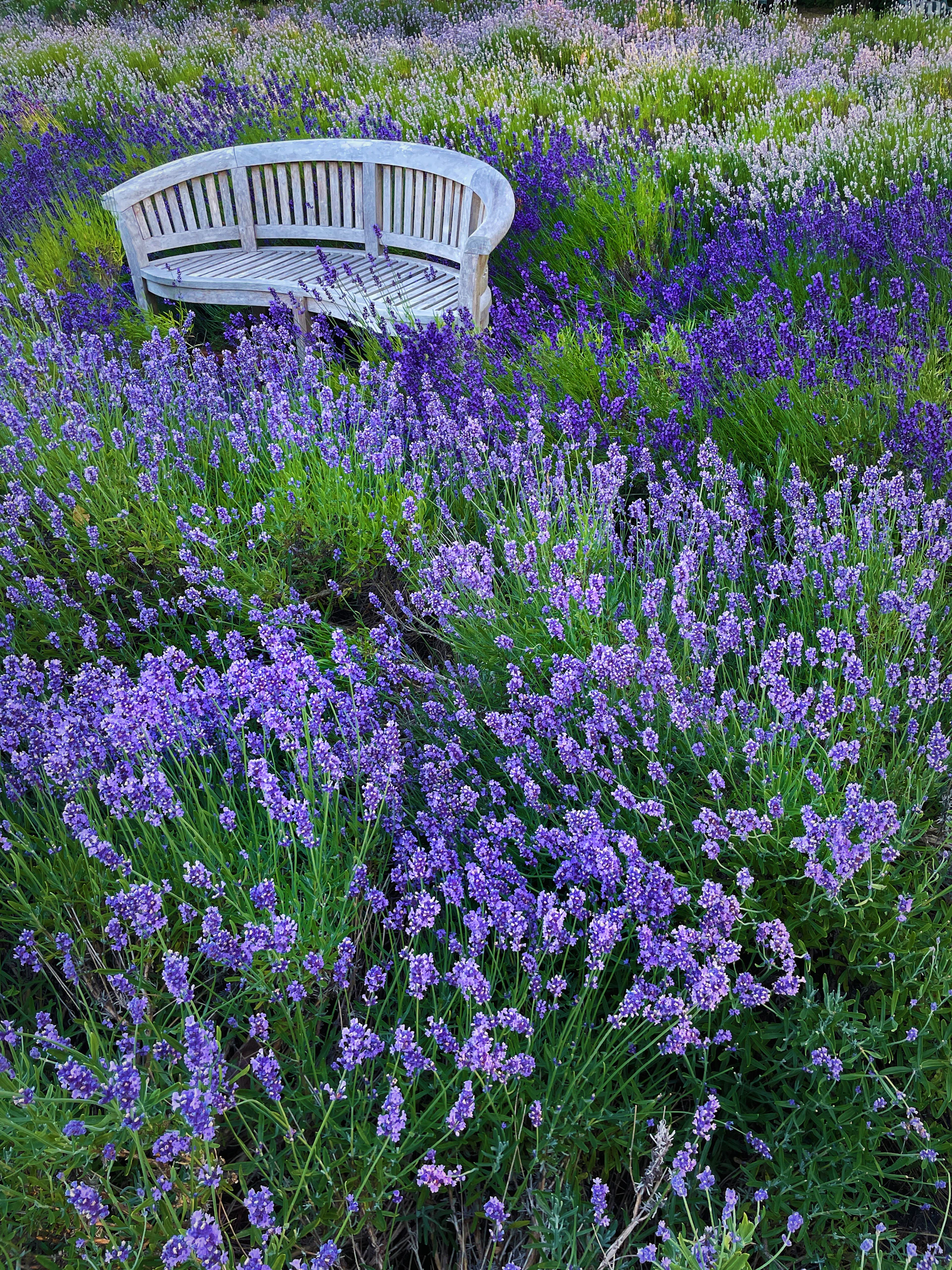 gray computer monitor