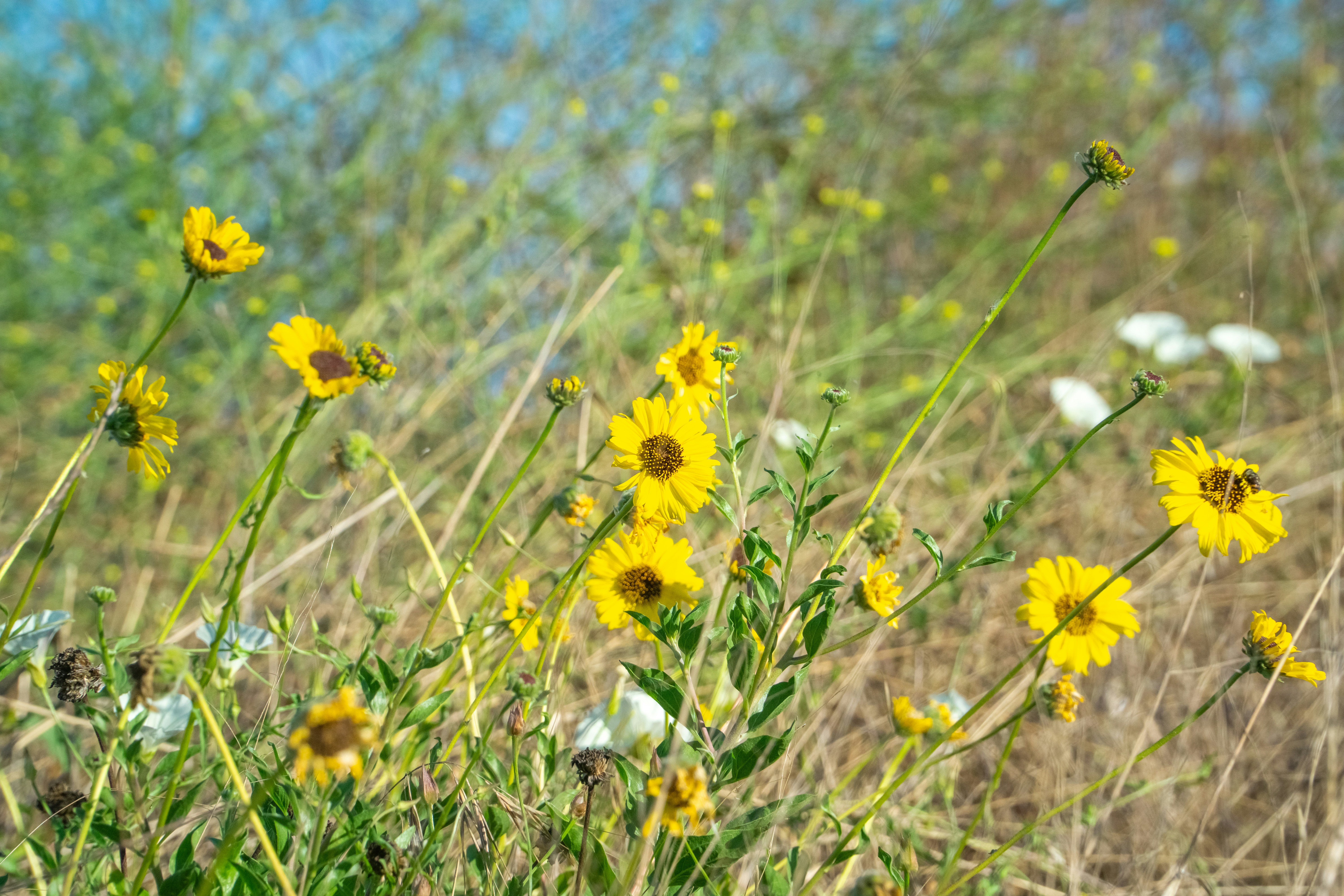 Photo by spencer_demera