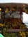 A market stall displays a variety of fresh fruits, including bananas, oranges, lemons, grapes, and tomatoes. The fruits are arranged in baskets made of woven bamboo, creating a rustic and inviting appearance. The fruits appear vibrant under the daylight, with leaves adding a natural touch.