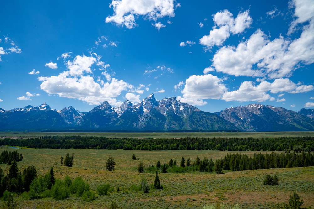 a scenic view of a mountain range with trees in the foreground