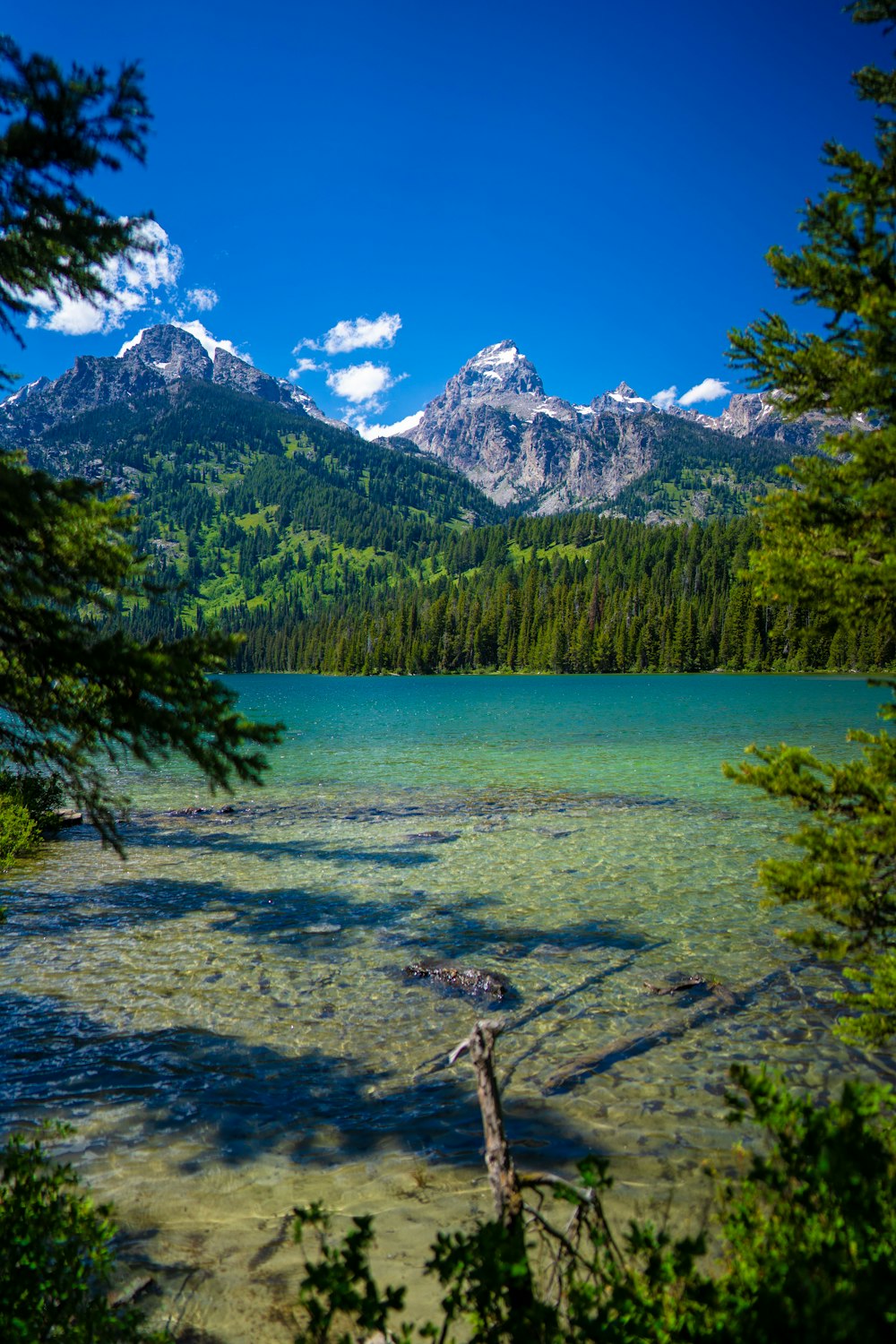 a lake surrounded by trees and mountains