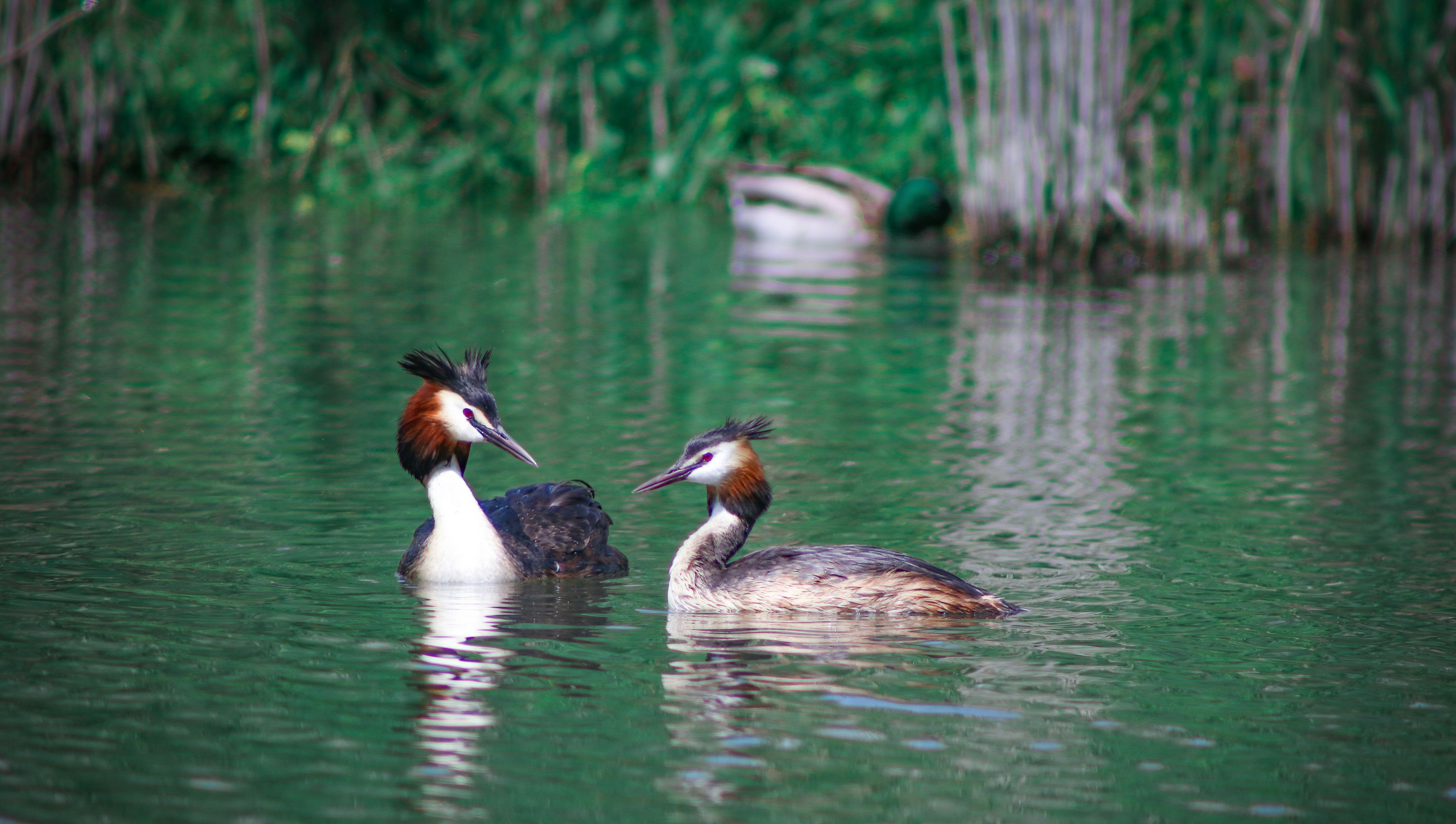 Photo by exploretheworldwithsusan