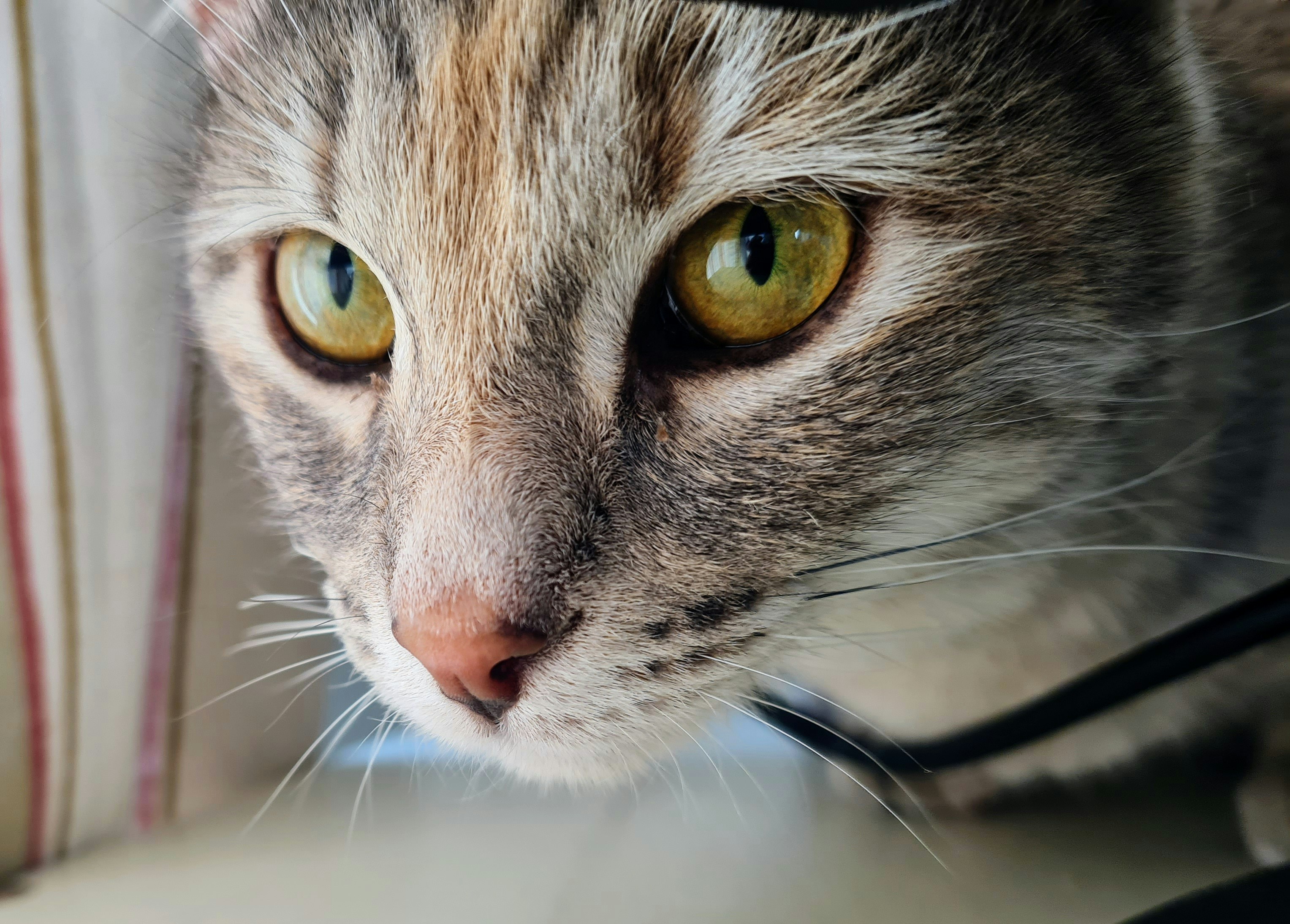 Photo by jeandovey123