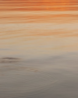 A tranquil scene of flowing water reflecting soft gold and ivory tones under a calm sky.