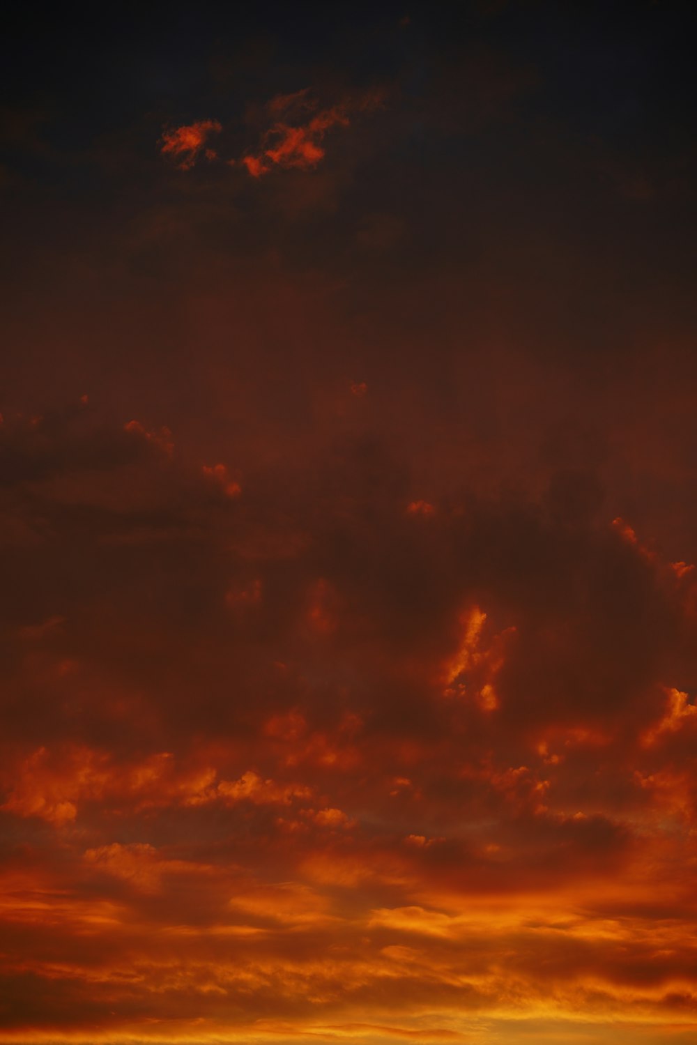 a plane flying in the sky at sunset