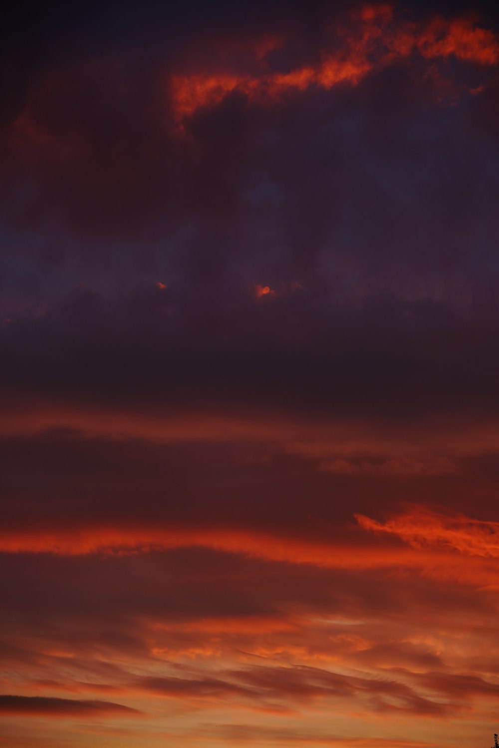 a plane flying in the sky at sunset