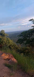 A panoramic view of a lush green landscape in Veracruz.