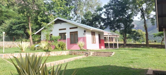 A cute pastel-colored Minecraft house with a garden and trees around it.