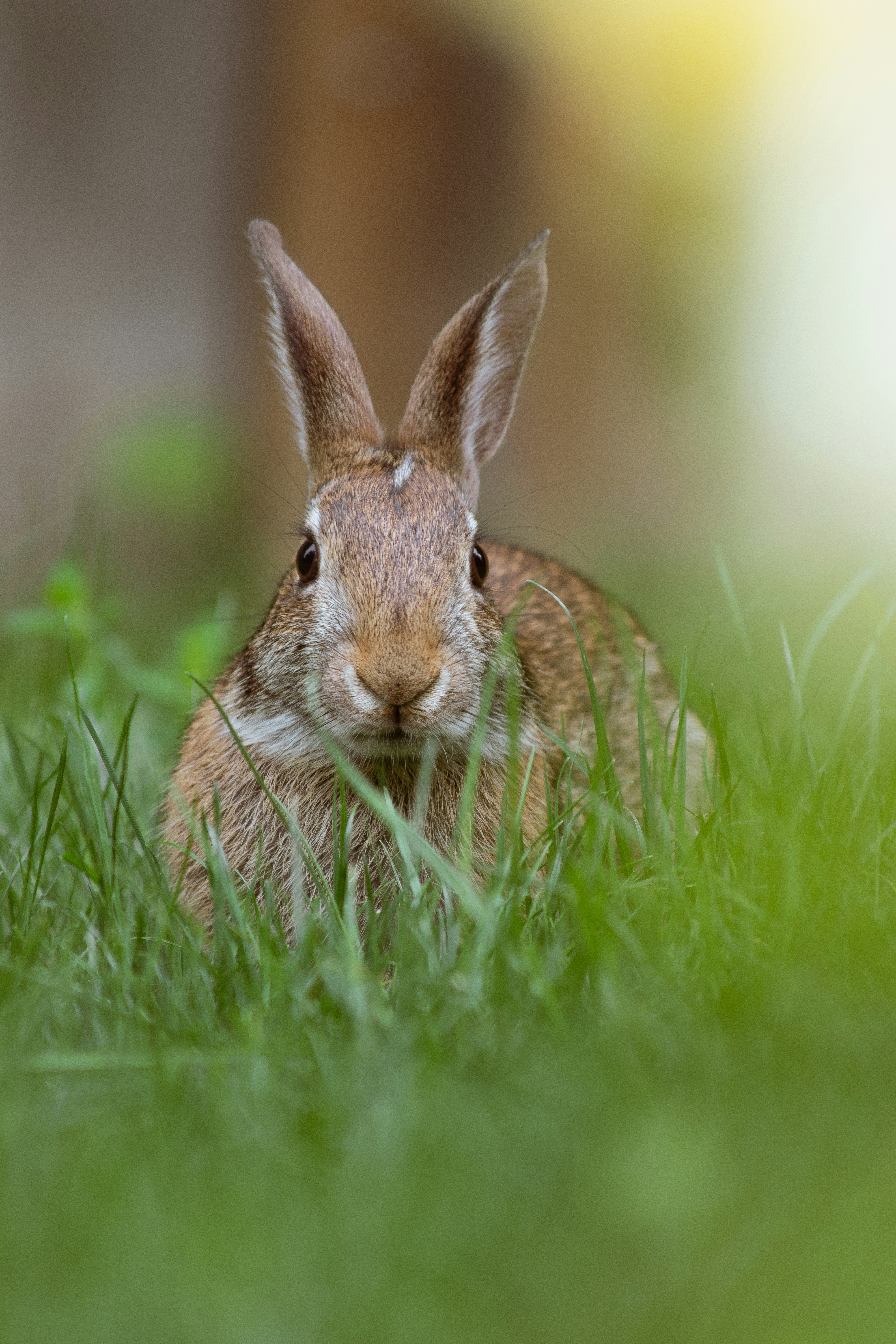 Photo by sinabahar76