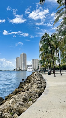 A sunny waterfront scene featuring a line of tall, modern buildings against a blue sky with scattered clouds. A rocky shoreline and a palm-lined promenade are visible in the foreground. The water is calm, reflecting the sky and buildings.
