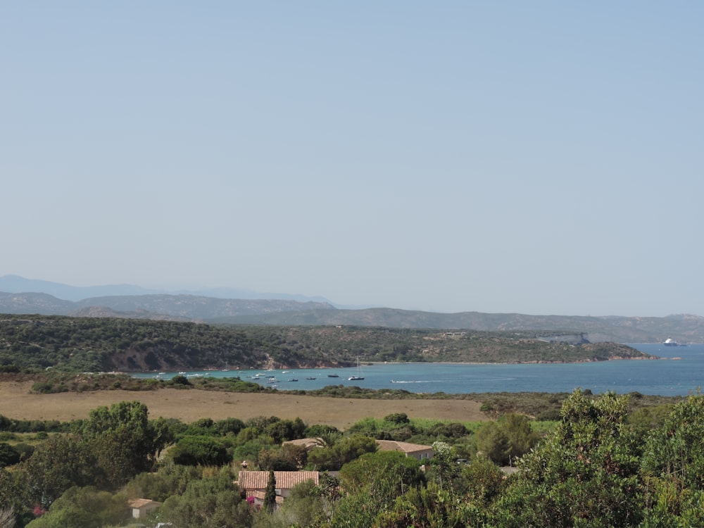 a large body of water surrounded by trees