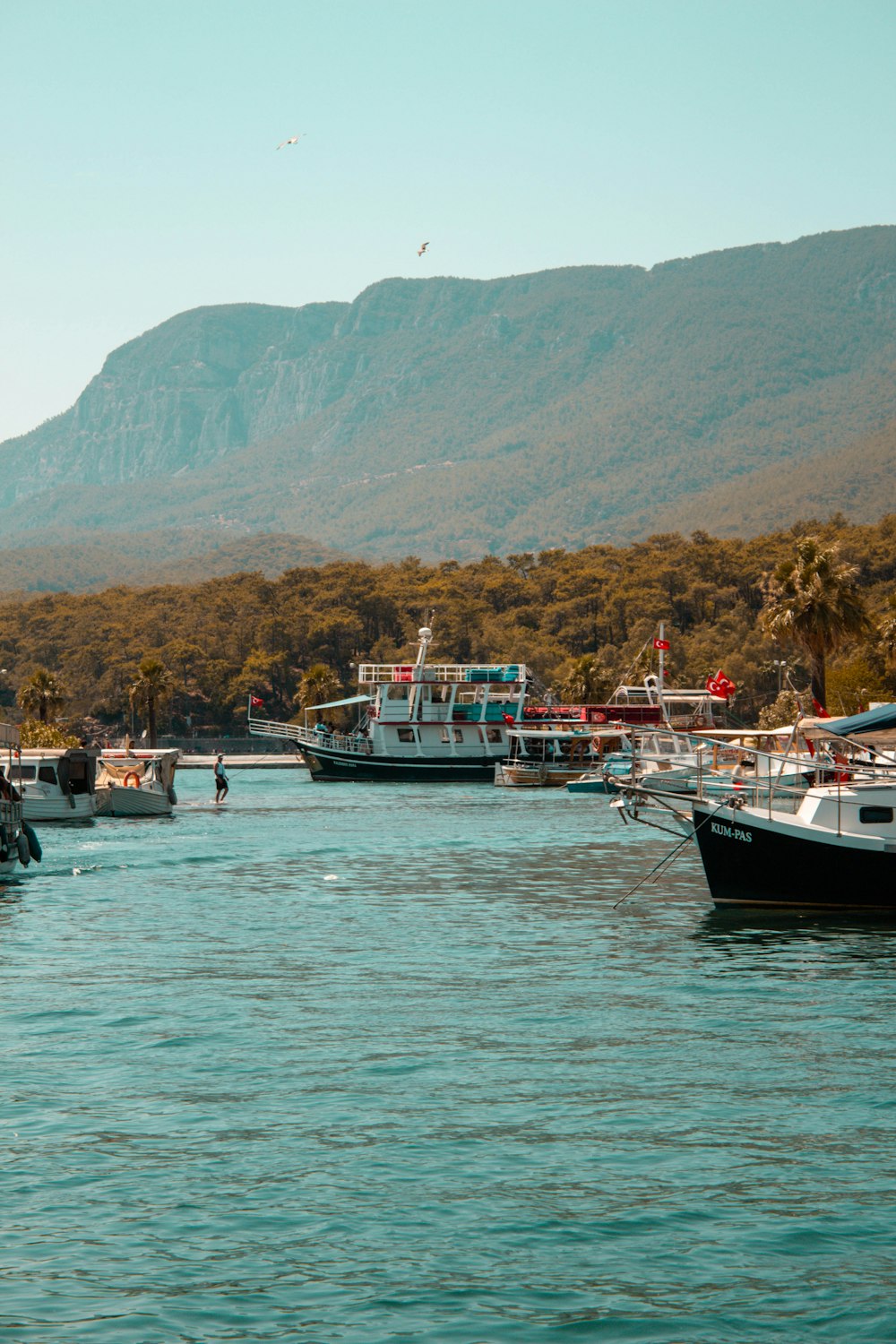 a group of boats that are sitting in the water