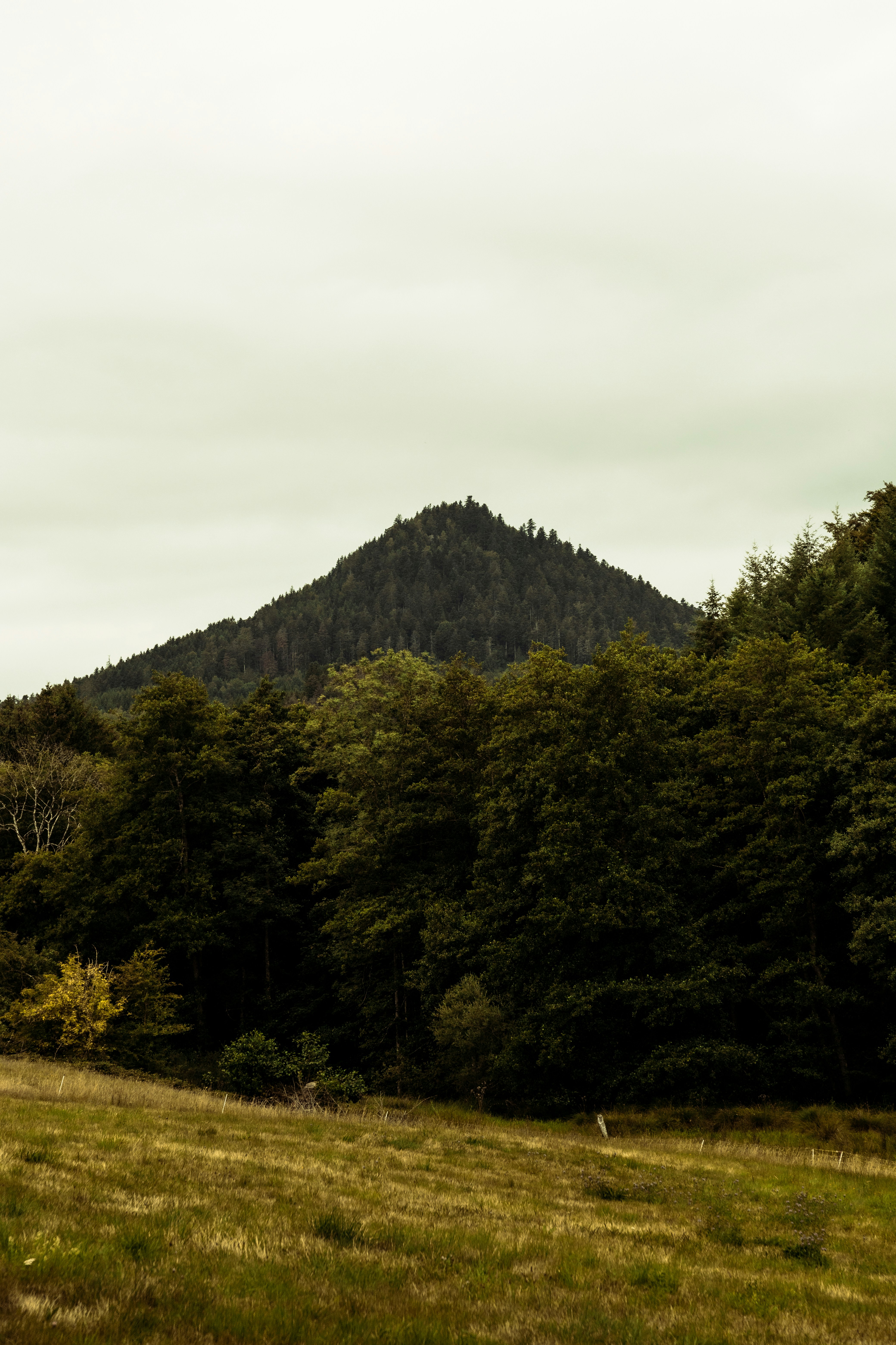 Photo by studiowattier