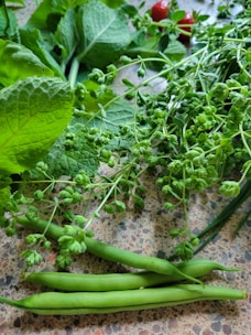 Close-up of fresh colorful vegetables and a notebook with meal plans on a wooden countertop.