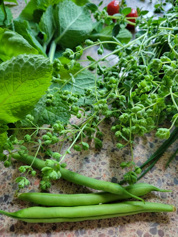 Close-up of fresh produce from a local farm styled against a matte forest green backdrop.