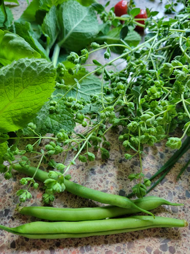 A bright, fresh kitchen scene with green leafy vegetables and a bowl of colorful salad.