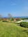 A scenic landscape with a manicured lawn leading to several wooden cabins surrounded by lush greenery. The ocean is visible in the background under a clear blue sky. There are some trees and a swimming pool with lounge chairs nearby.