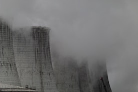 Photo 1689456852106 F9531a517c8b?q=85&w=275&h=275&fit=crop