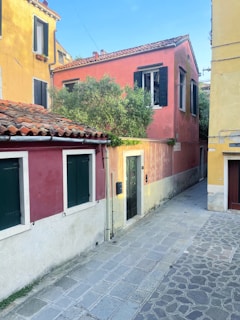 Quiet street lined with olive trees and warm sand-colored sidewalks.