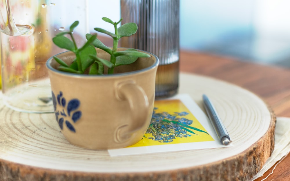 a small potted plant sitting on top of a wooden table