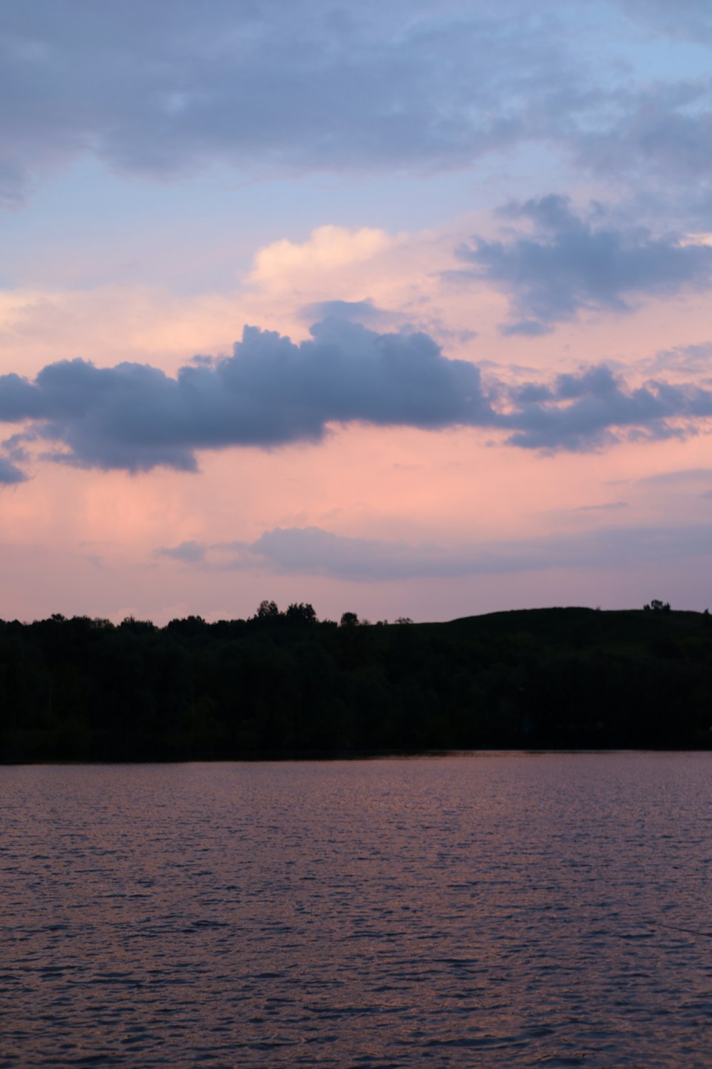 a large body of water with trees in the background