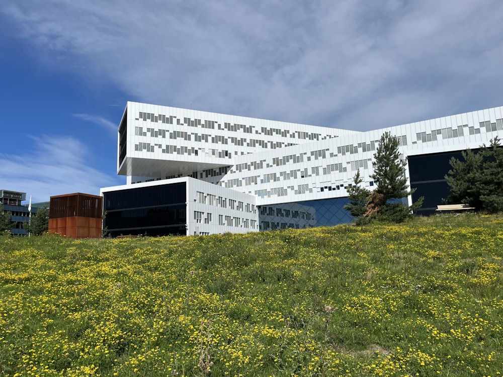 a building with a lot of windows on the side of it