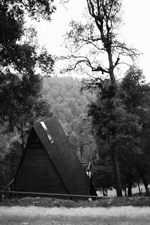 A black and white photograph of an A-frame cabin nestled in a wooded area with tall trees surrounding it. The cabin has a rustic appearance with a steep roof, set against a backdrop of hills covered with dense forest. The scene is tranquil, capturing the essence of a secluded getaway in nature.