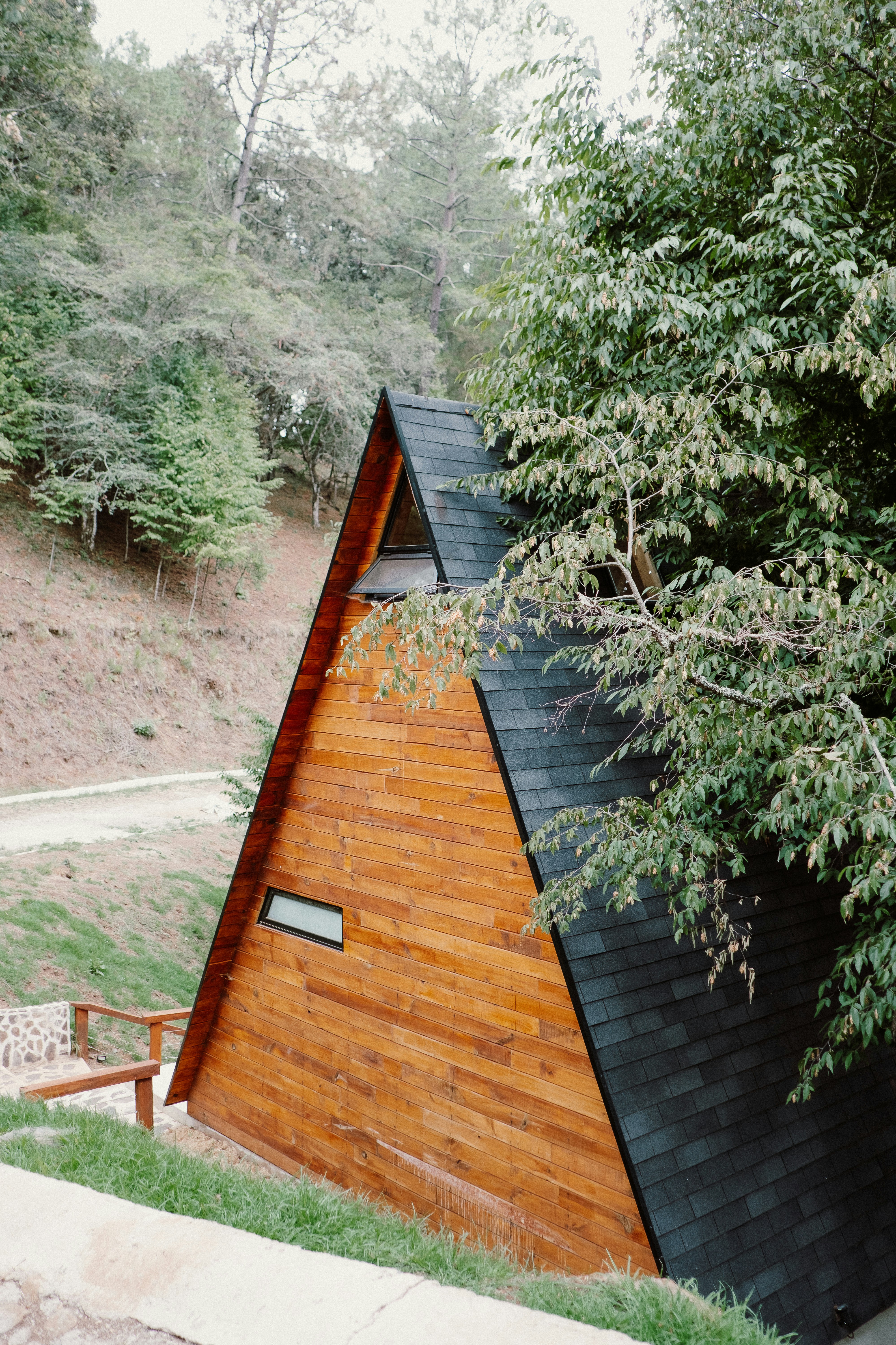 Photo by brunocervera