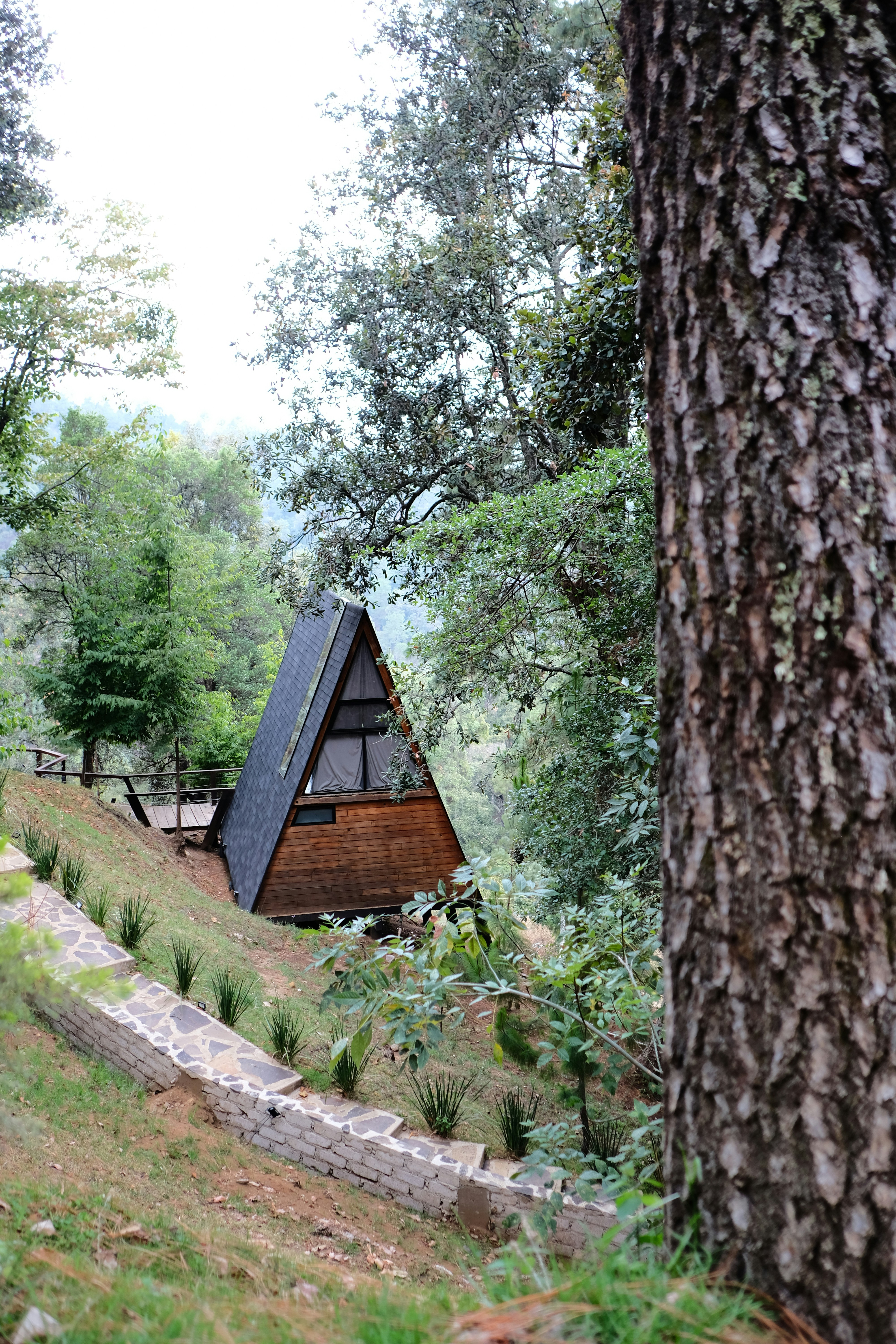 Photo by brunocervera