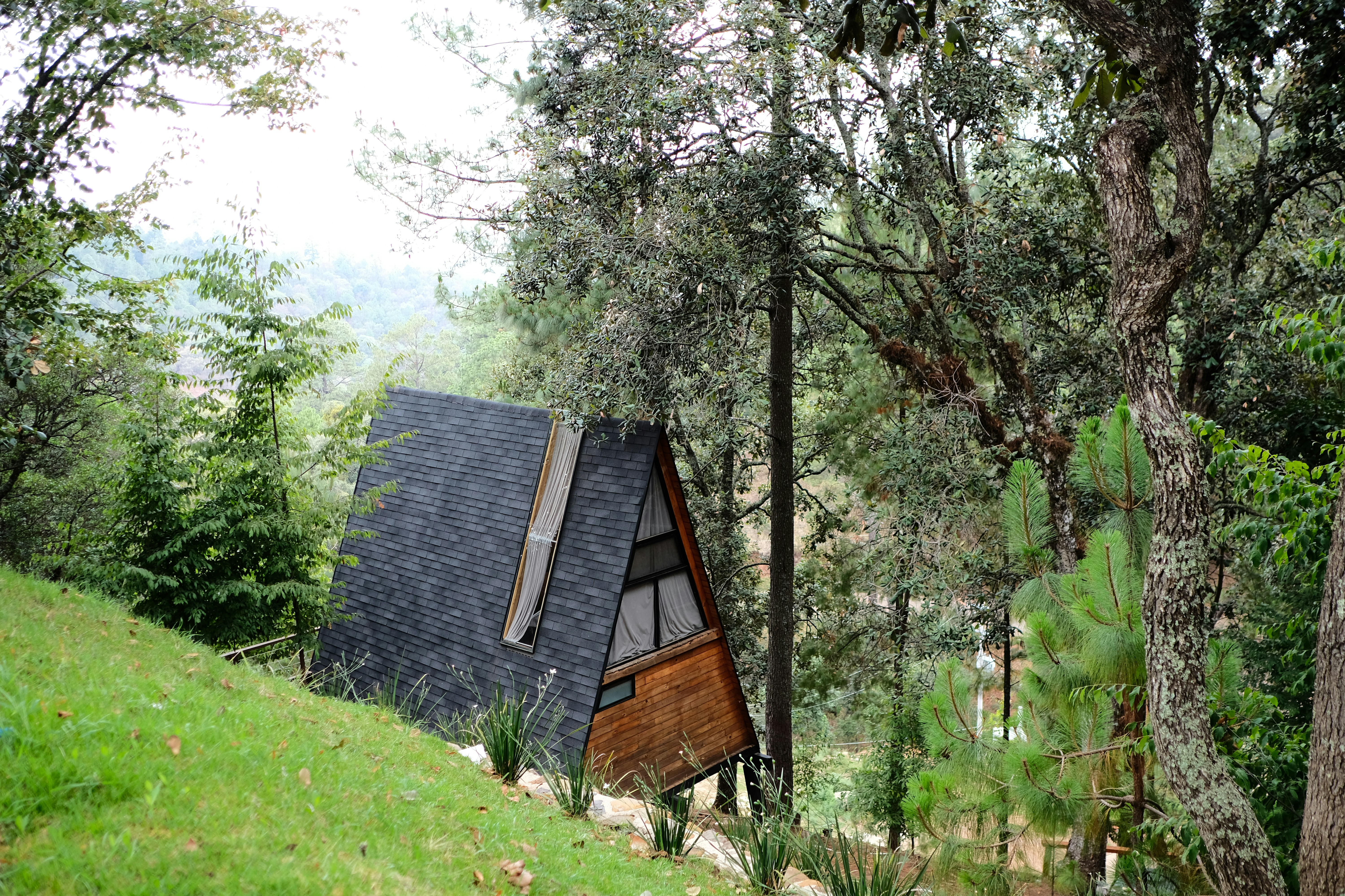 Photo by brunocervera