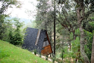 A small, wooden A-frame cabin nestled amidst lush greenery and tall trees. The cabin is surrounded by dense forestation, with a sloping grassy area in the foreground. The setting appears tranquil and secluded, suggesting a peaceful retreat.