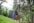 A small, wooden A-frame cabin nestled amidst lush greenery and tall trees. The cabin is surrounded by dense forestation, with a sloping grassy area in the foreground. The setting appears tranquil and secluded, suggesting a peaceful retreat.