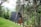 A small, wooden A-frame cabin nestled amidst lush greenery and tall trees. The cabin is surrounded by dense forestation, with a sloping grassy area in the foreground. The setting appears tranquil and secluded, suggesting a peaceful retreat.