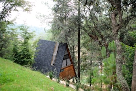 A small, wooden A-frame cabin nestled amidst lush greenery and tall trees. The cabin is surrounded by dense forestation, with a sloping grassy area in the foreground. The setting appears tranquil and secluded, suggesting a peaceful retreat.