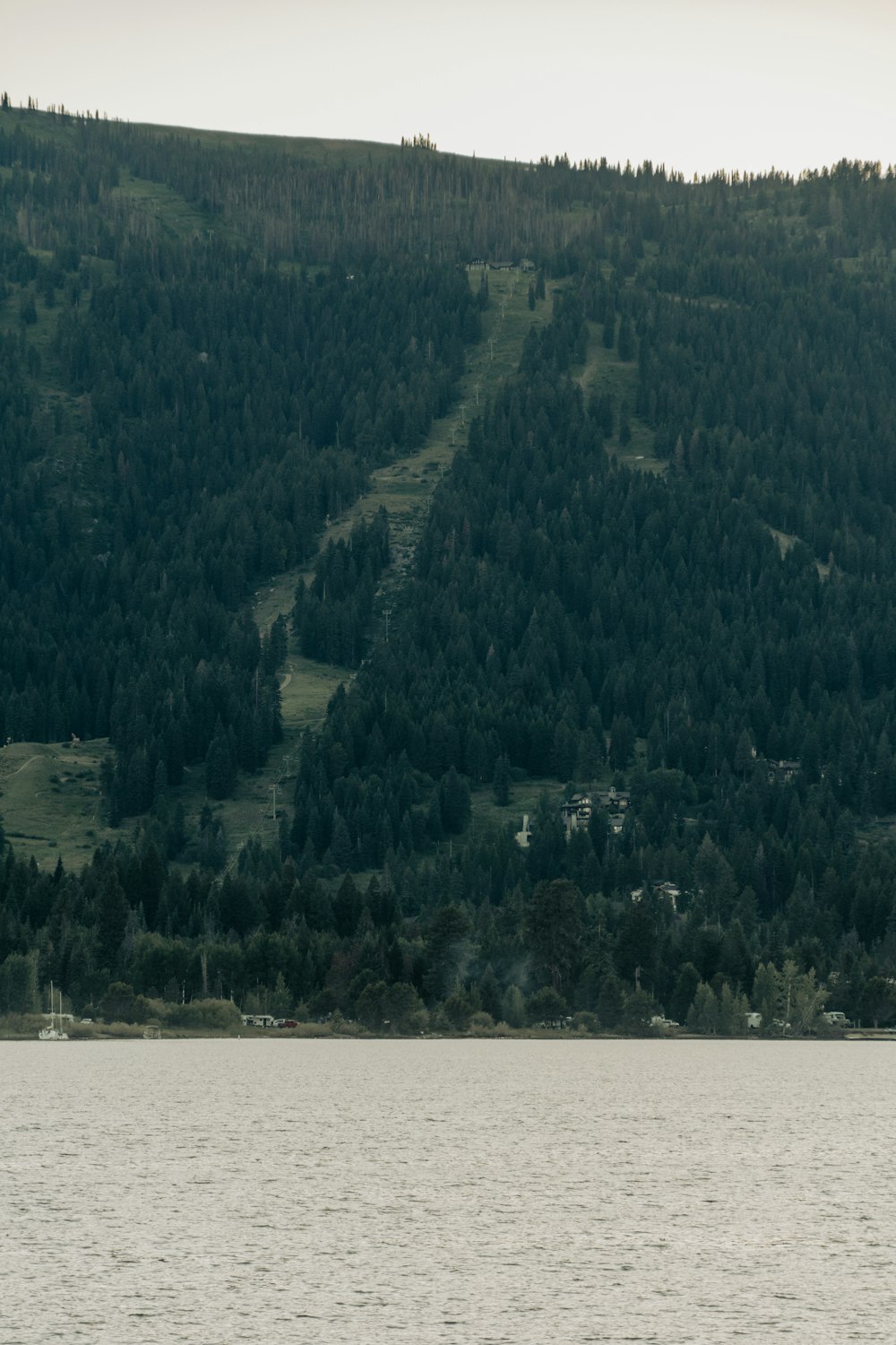 a large body of water surrounded by a forest