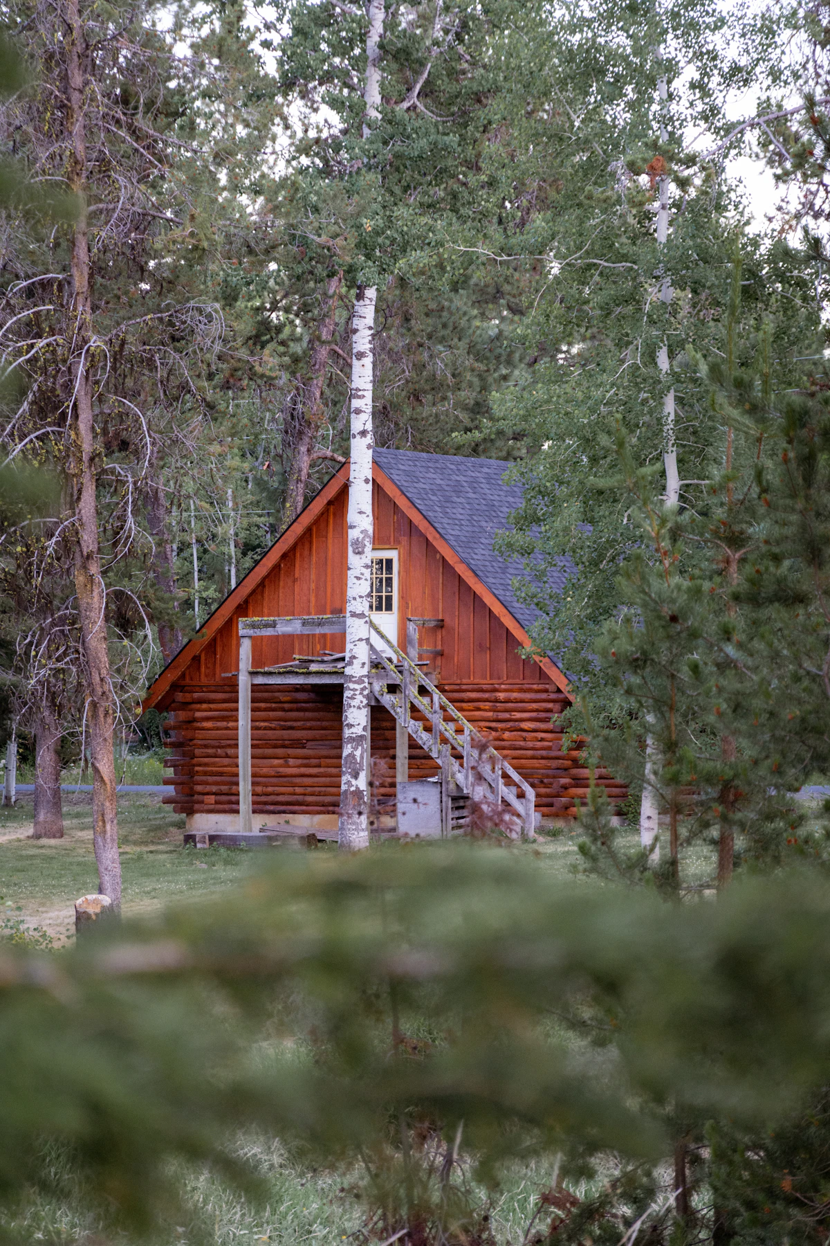 a cabin in the woods with stairs leading up to it